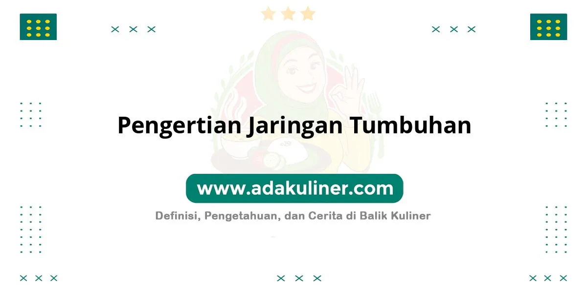 Pengertian Jaringan Tumbuhan: Kelompok sel dengan fungsi khusus Pengertian Jaringan Tumbuhan: Kelompok sel dengan fungsi khusus