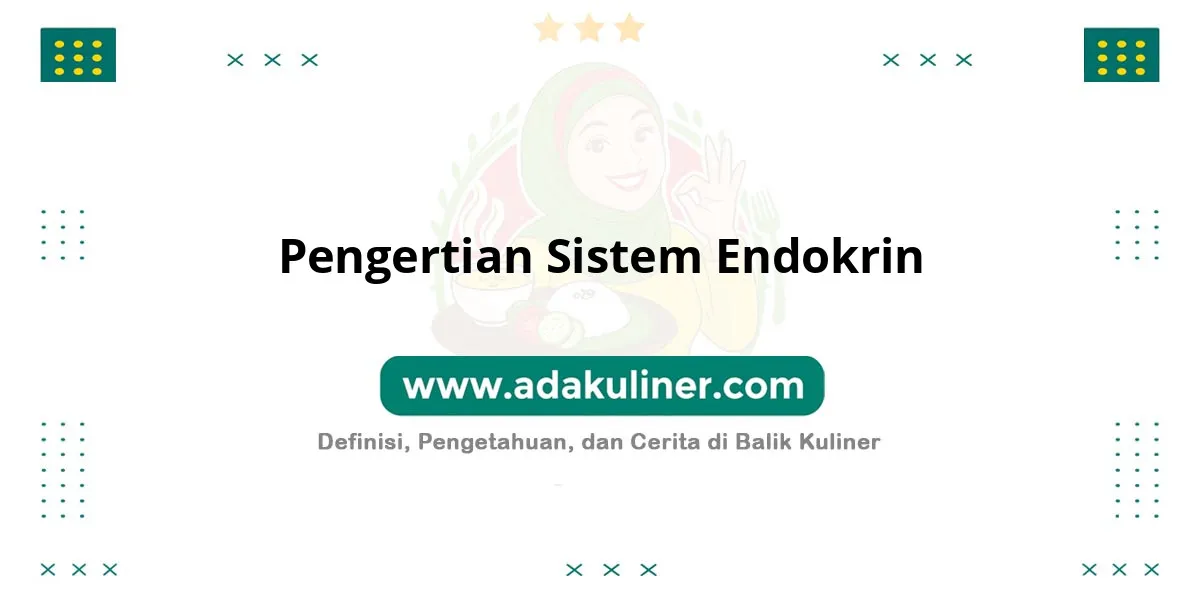 Pengertian Sistem Endokrin: Kelenjar penghasil hormon tubuh Pengertian Sistem Endokrin: Kelenjar penghasil hormon tubuh