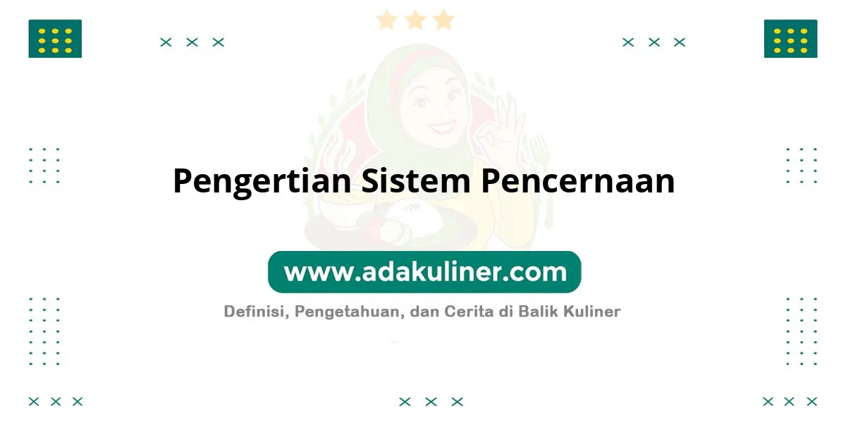 Pengertian Sistem Pencernaan: Proses pengolahan makanan jadi energi Pengertian Sistem Pencernaan: Proses pengolahan makanan jadi energi