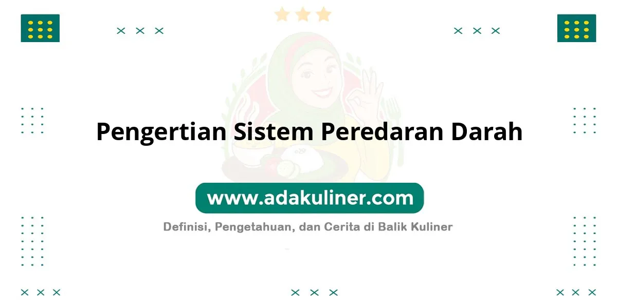 Pengertian Sistem Peredaran Darah: Transportasi nutrisi dan oksigen tubuh Pengertian Sistem Peredaran Darah: Transportasi nutrisi dan oksigen tubuh