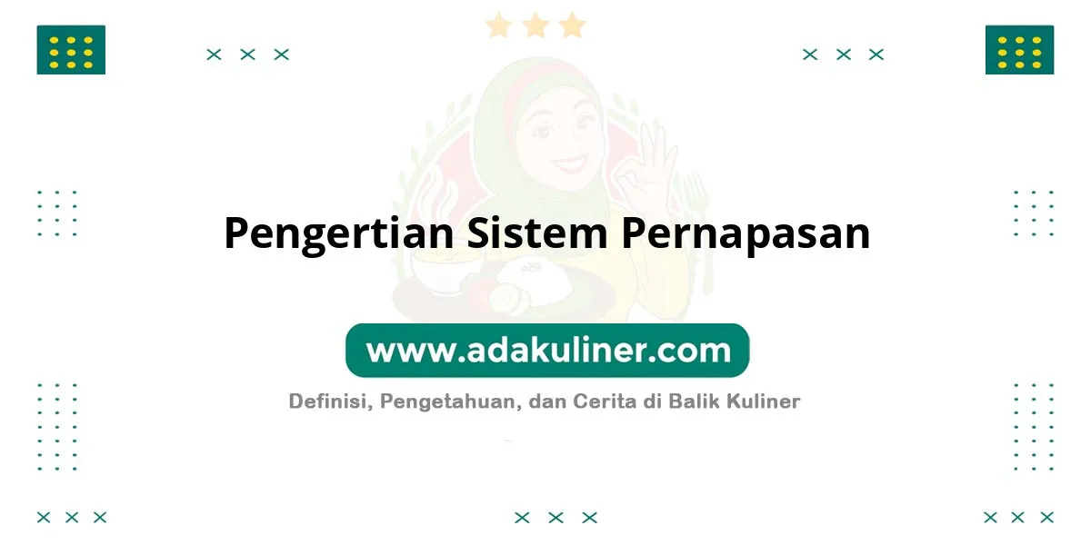 Pengertian Sistem Pernapasan: Proses pertukaran gas dalam tubuh Pengertian Sistem Pernapasan: Proses pertukaran gas dalam tubuh