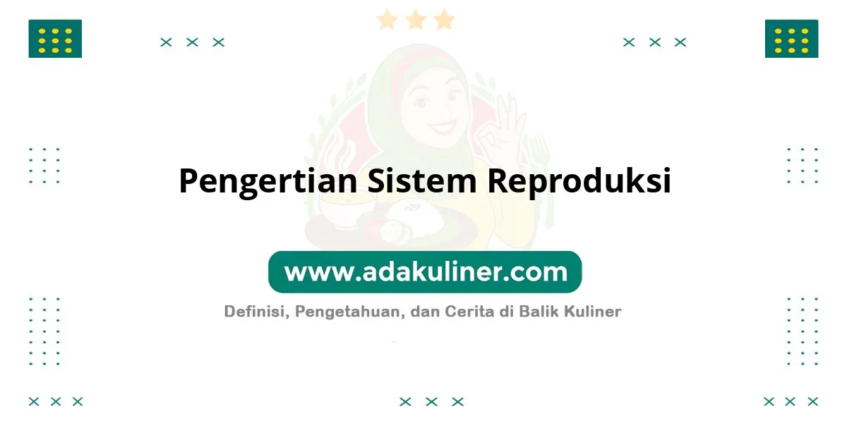 Pengertian Sistem Reproduksi: Proses biologis menghasilkan keturunan baru Pengertian Sistem Reproduksi: Proses biologis menghasilkan keturunan baru