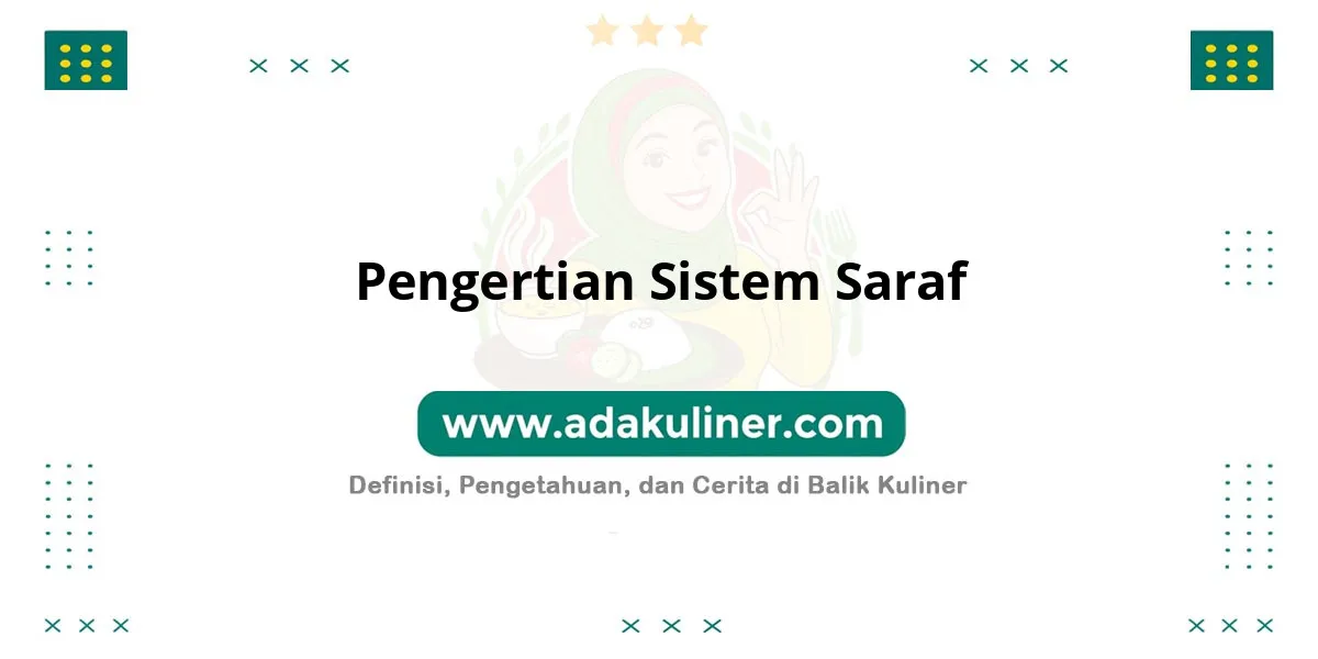 Pengertian Sistem Saraf: Jaringan komunikasi dan kendali tubuh Pengertian Sistem Saraf: Jaringan komunikasi dan kendali tubuh